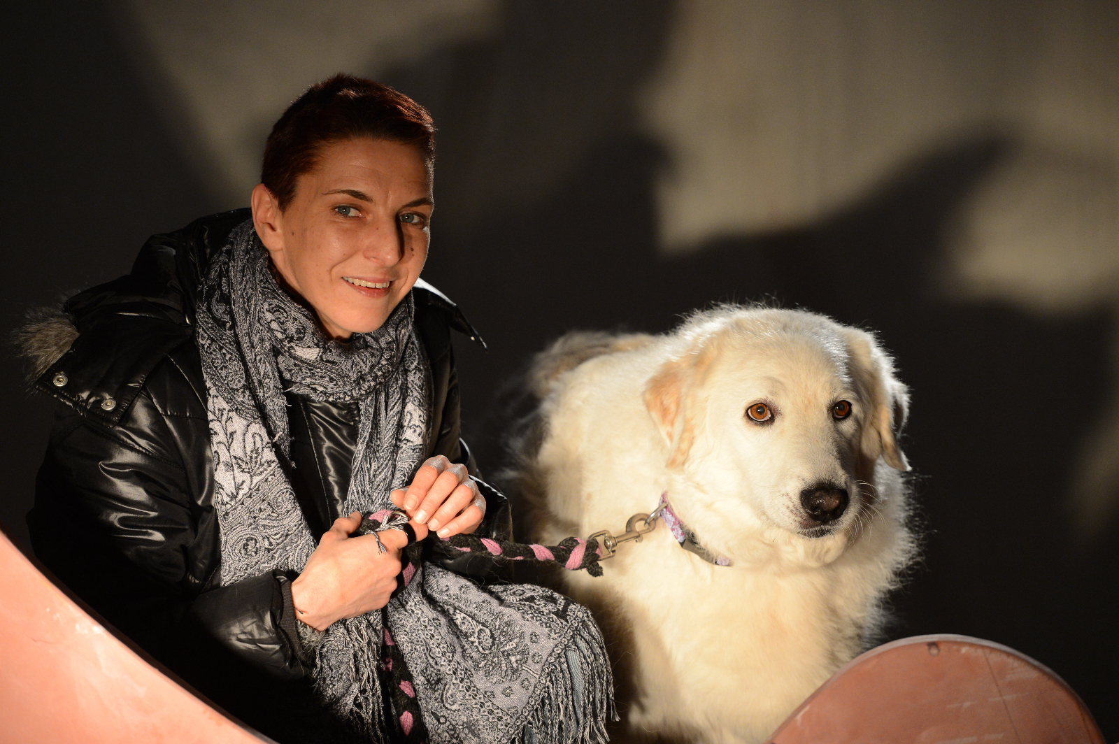 2013-Und100Hunde-StefanHolenstein-DSC_0122